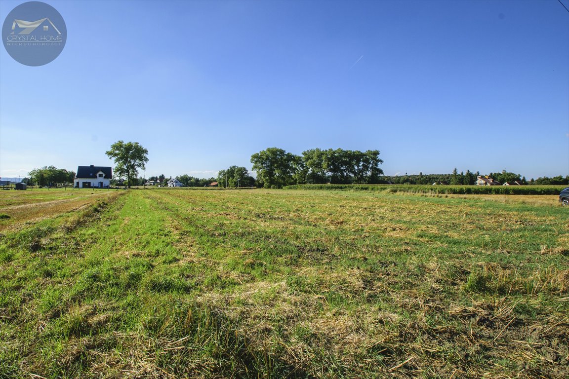 Działka 4631 m² z dostępem do mediów i planem zagospodarowania Mościsko  4 631m2 Foto 1