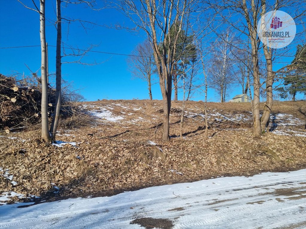 Działka budowlana na sprzedaż Giławy, Giławy  4 259m2 Foto 8