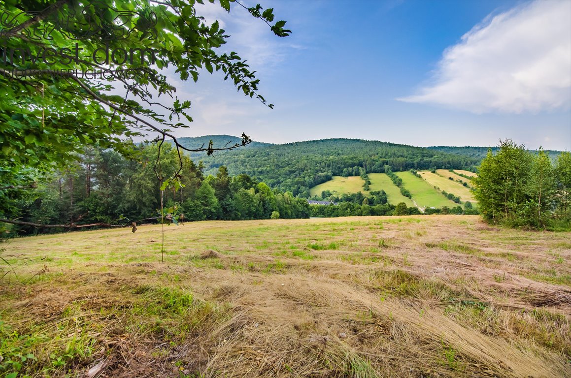 Działka budowlana na sprzedaż Małastów  24 800m2 Foto 8