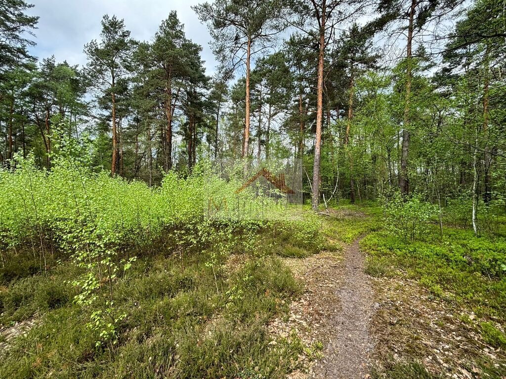 Działka budowlana na sprzedaż Wiązowna, Jagodowa  4 958m2 Foto 6