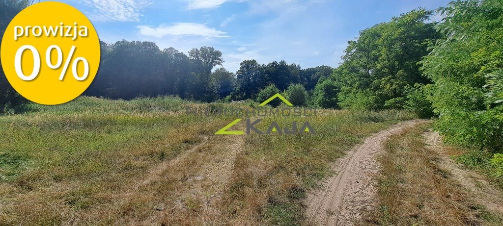 Działka siedliskowa na sprzedaż Nowe Biskupice  27 700m2 Foto 18