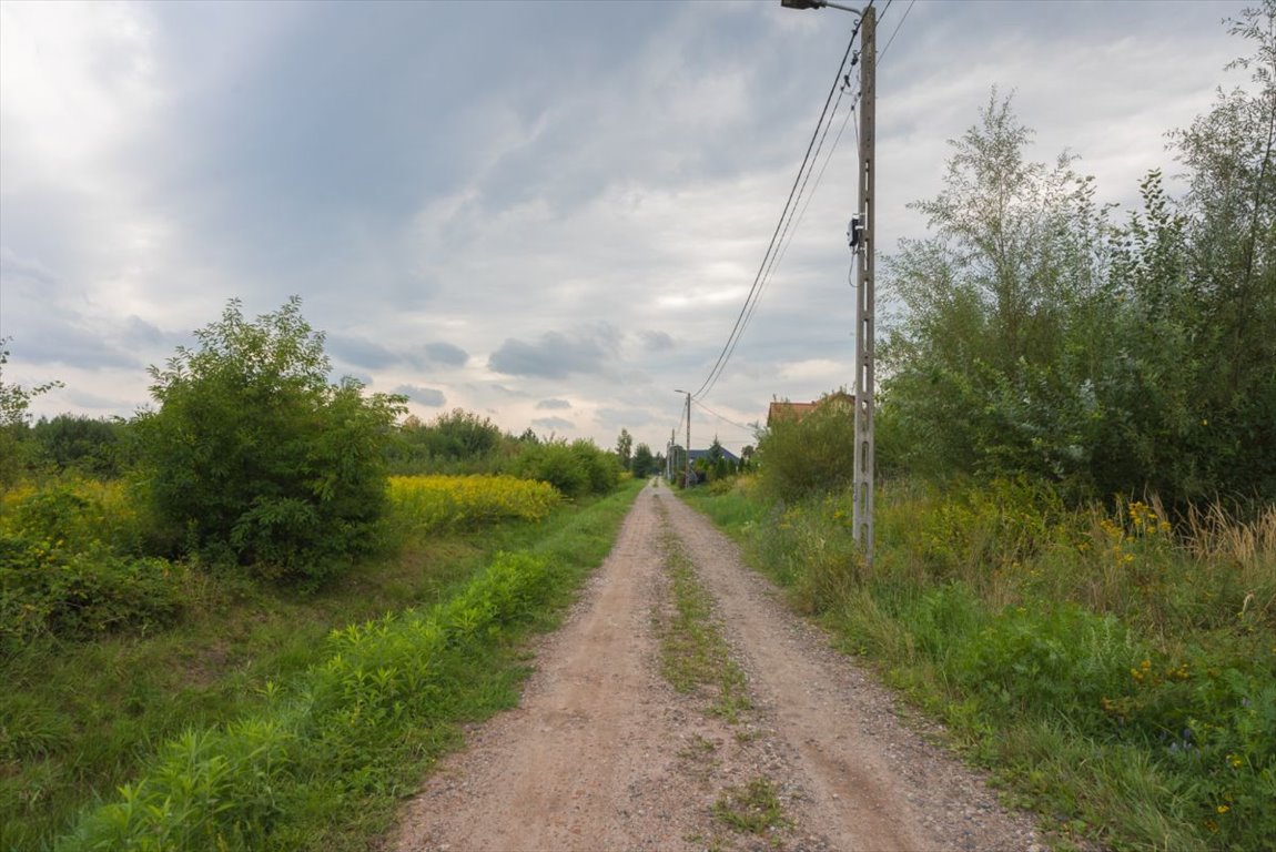 Działka budowlana na sprzedaż Ciemne, Iglasta  1 614m2 Foto 4