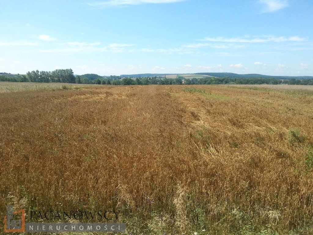 Działka rolna na sprzedaż Brończyce  11 200m2 Foto 5