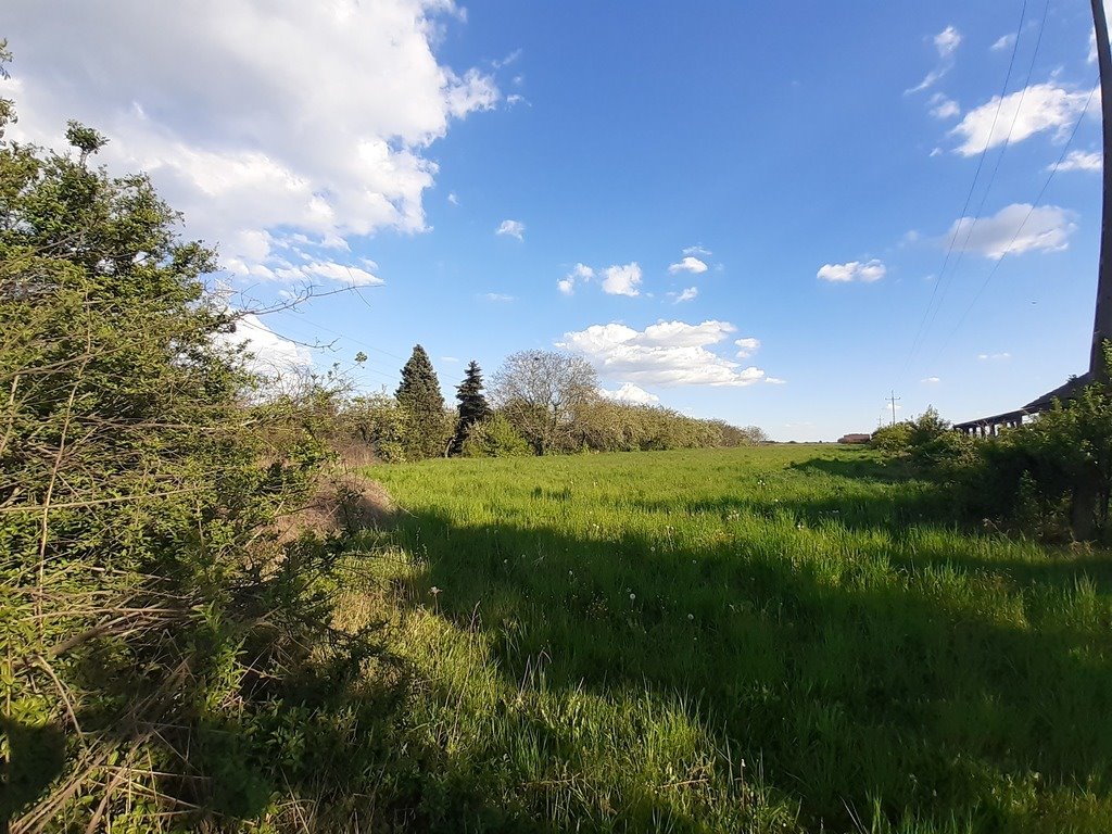 Działka budowlana na sprzedaż Łąkociny, Krotoszyńska  6 200m2 Foto 12