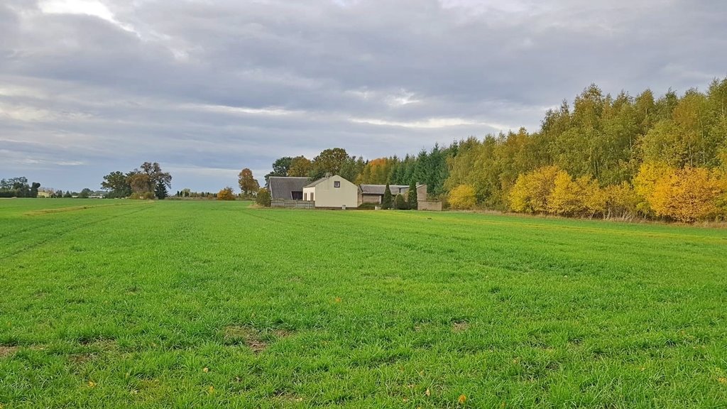 Działka 6 921 m² z zabudową i rolami w Przedeczu Przedecz  6 921m2 Foto 1