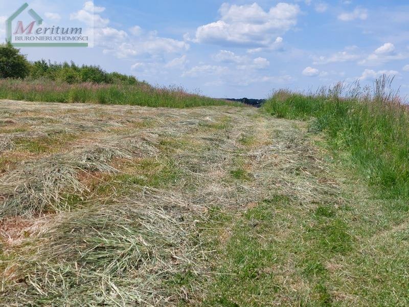 Działka budowlana na sprzedaż Krosno, Krosno  1 197m2 Foto 4