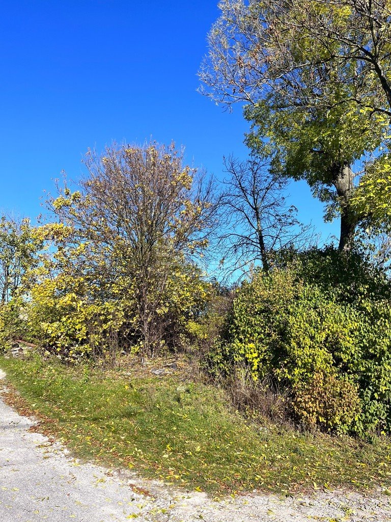 Działka budowlana na sprzedaż Szreniawa  5 460m2 Foto 3