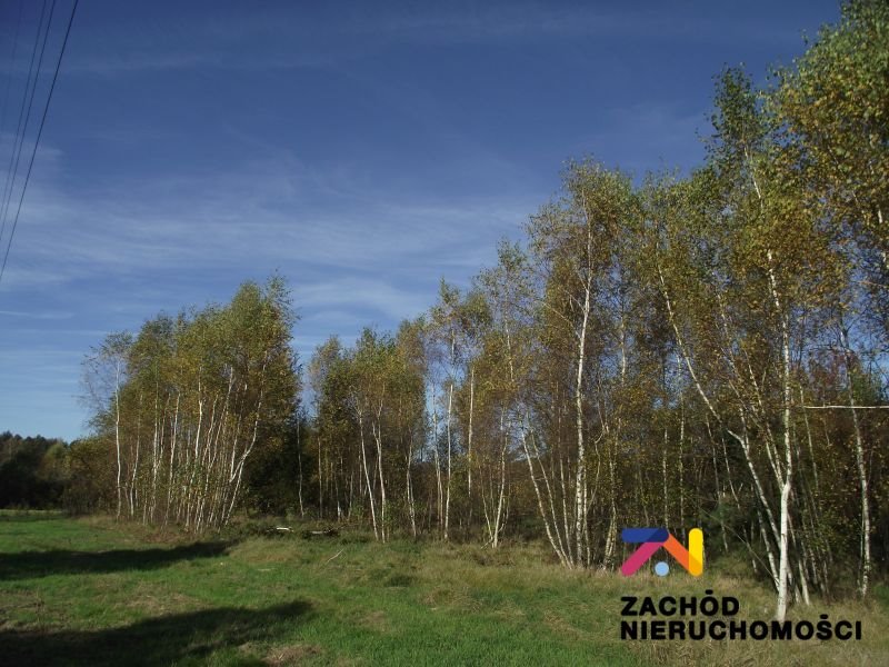 Działka pod zabudowę z dostępem do prądu, las, 1200 m2 Radomia, Radomia  1 200m2 Foto 1