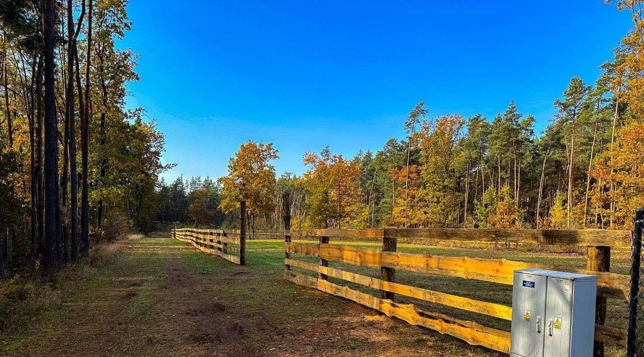 Działka budowlana na sprzedaż Pilica  1 500m2 Foto 5