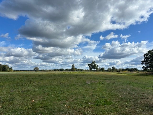 Działka rolna na sprzedaż Łąki  14 000m2 Foto 8