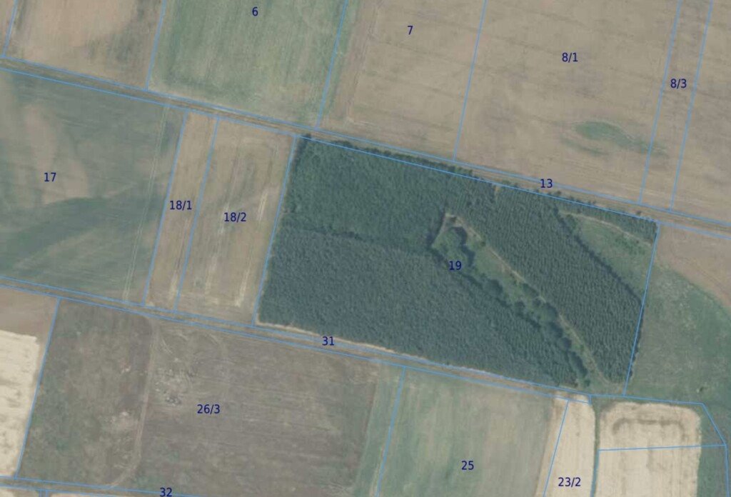 Las w Przyborowie - 3,24 ha z możliwością inwestycji Przyborów  32 400m2 Foto 1