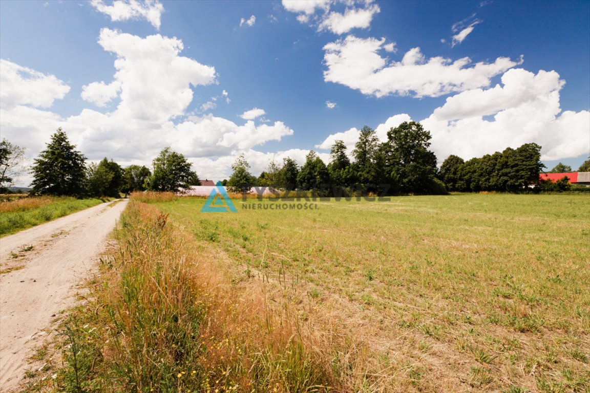 Działka budowlana na sprzedaż Kniewo, Radosna  4 412m2 Foto 10