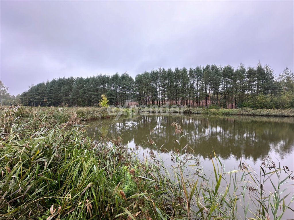 Działka budowlana na sprzedaż Libidza, Stawowa  9 000m2 Foto 4