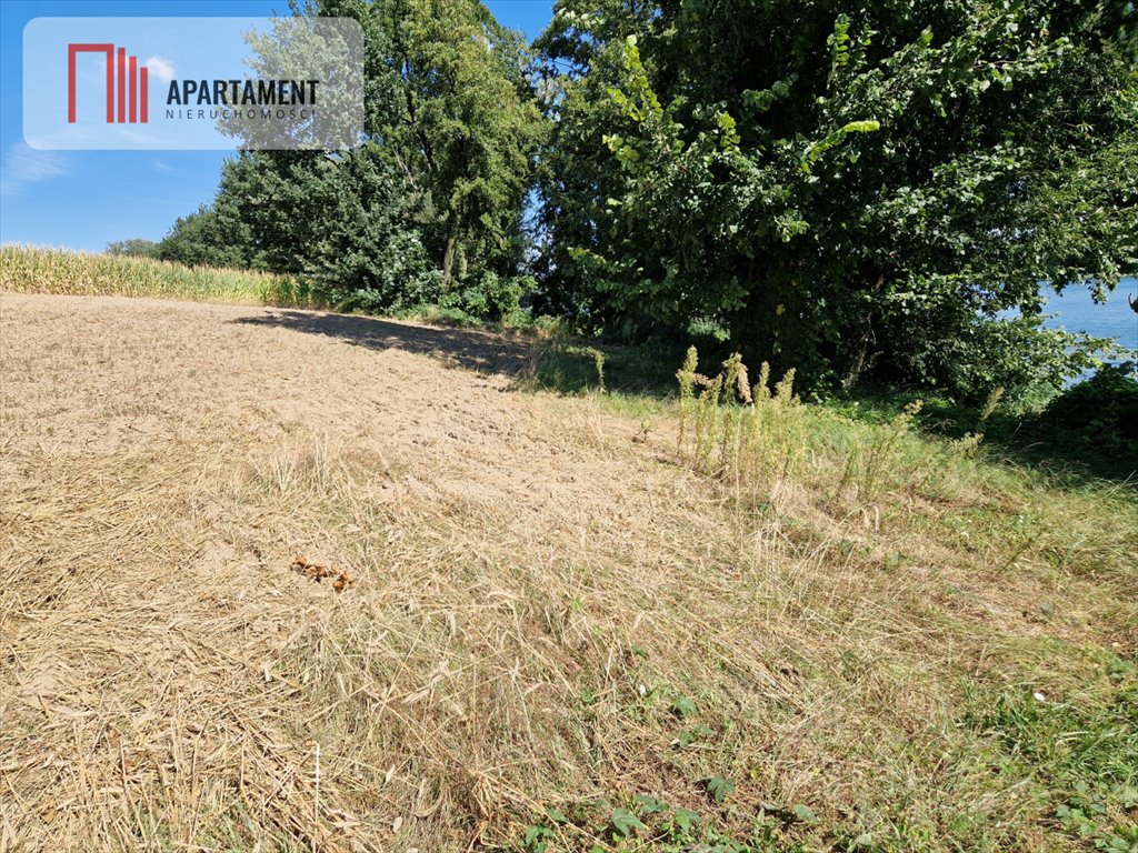 Działka rekreacyjna na sprzedaż Wiewiórczyn  17 000m2 Foto 7