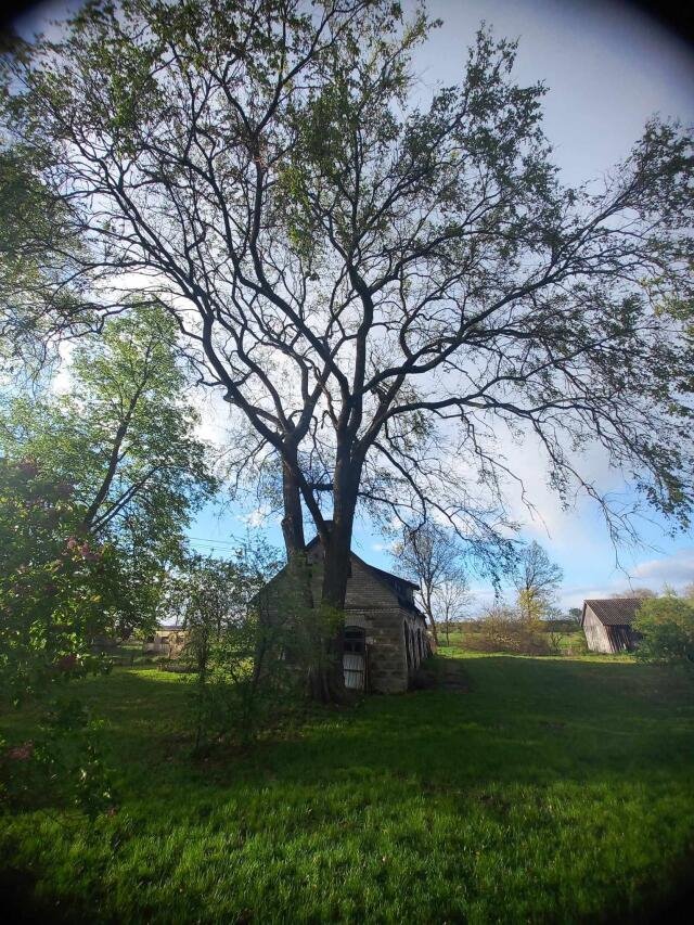 Dom na sprzedaż Żelazna Rządowa  70m2 Foto 9