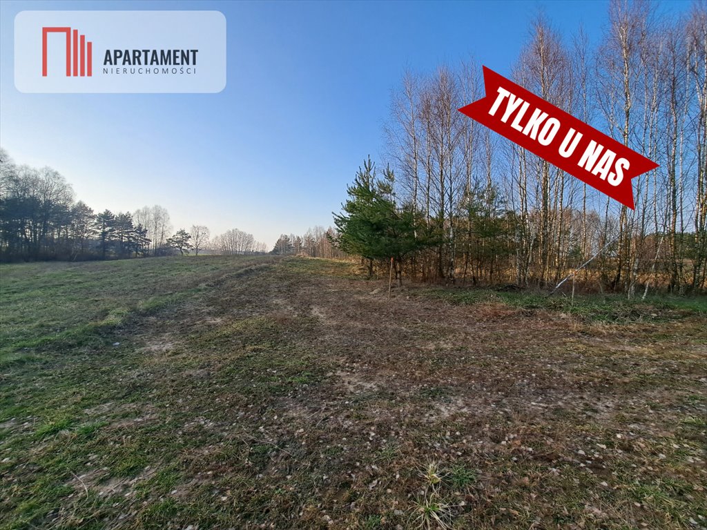 Działka budowlana na sprzedaż Borsk  1 202m2 Foto 7