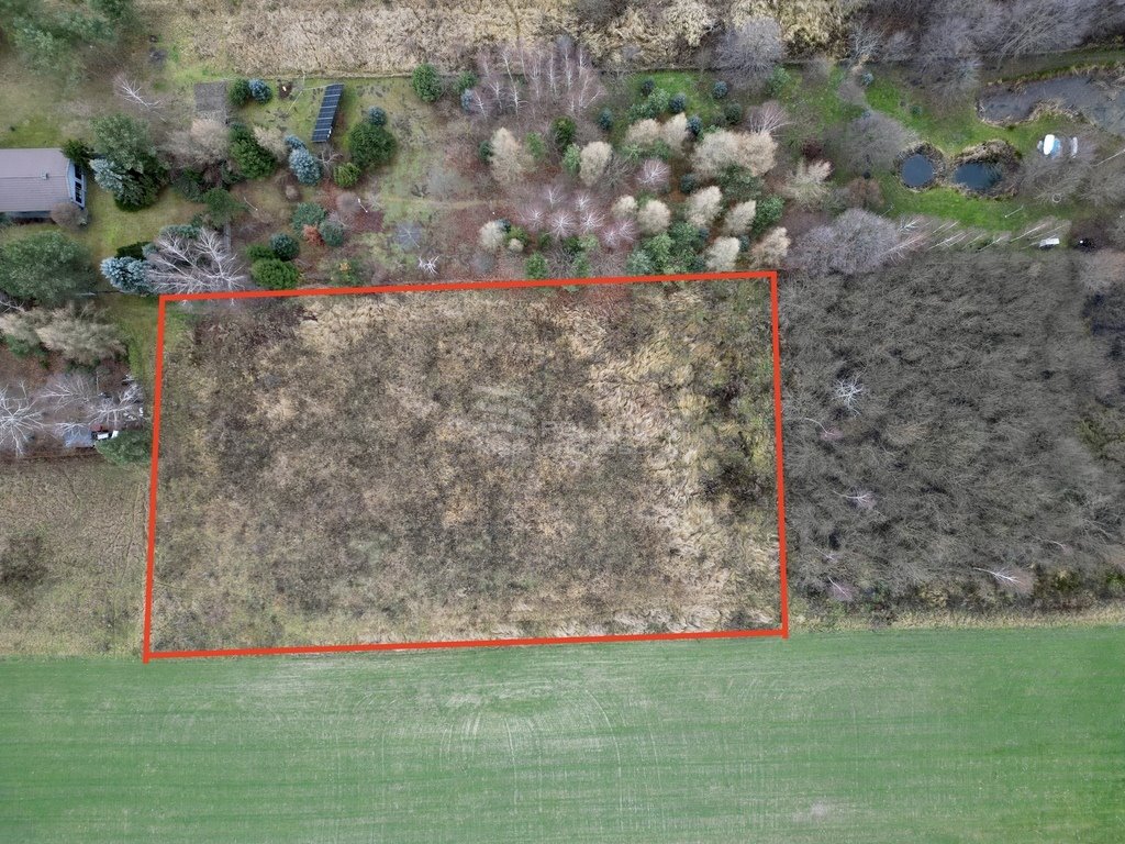 Działka budowlana na sprzedaż Okszów, Świerkowa  3 004m2 Foto 4