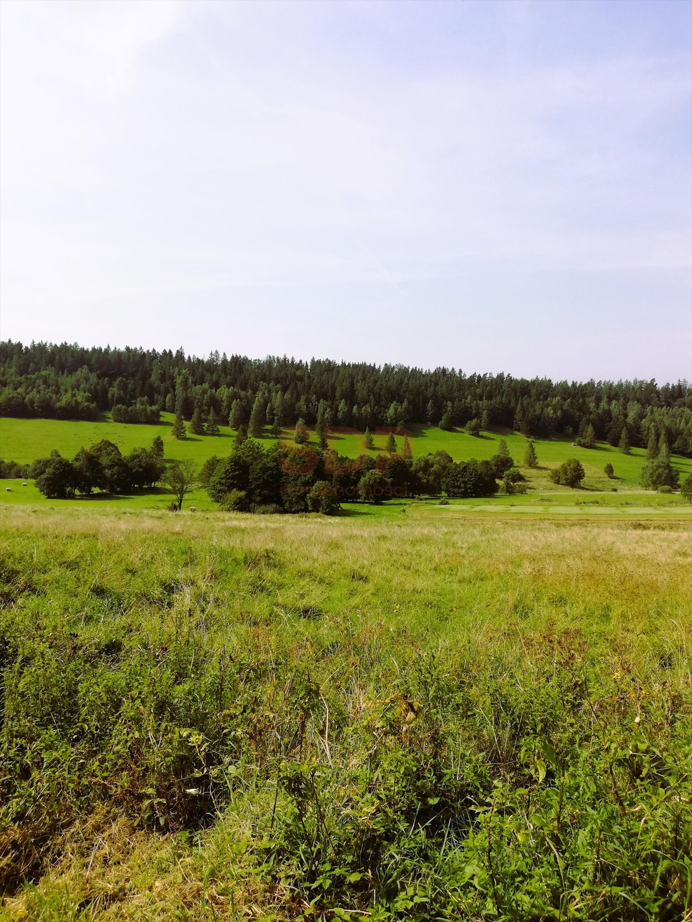 Działka budowlana na sprzedaż Czarna Góra  2 342m2 Foto 1