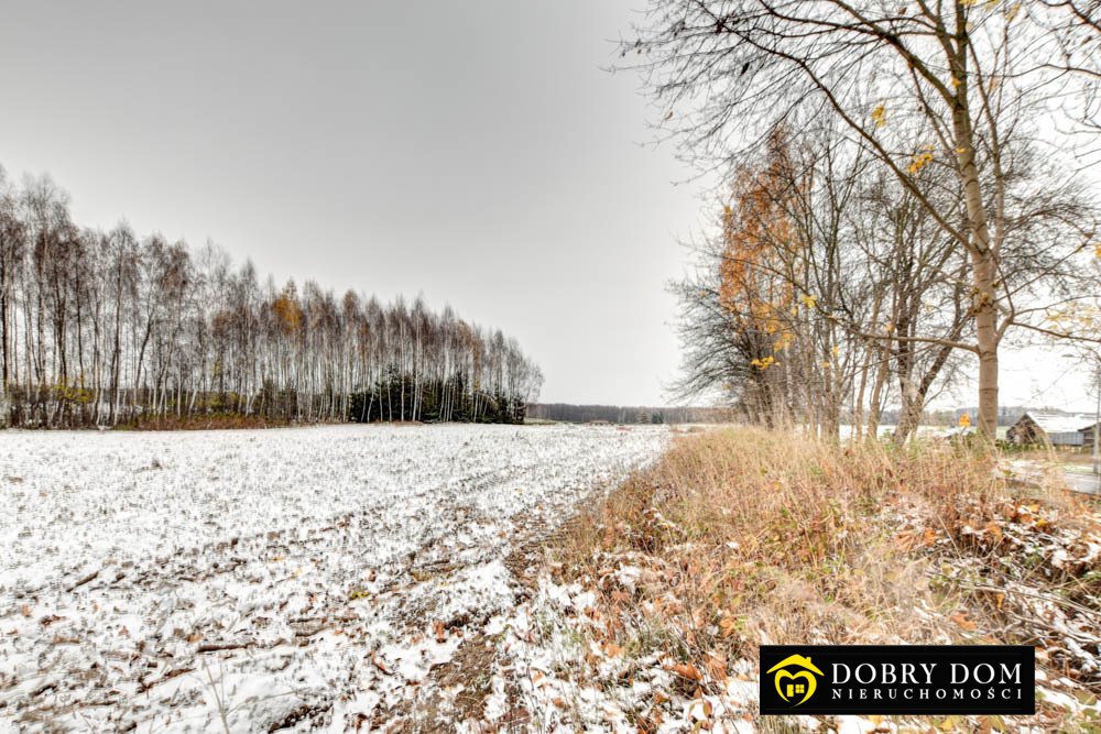 Działka rolna na sprzedaż Proniewicze  21 600m2 Foto 7