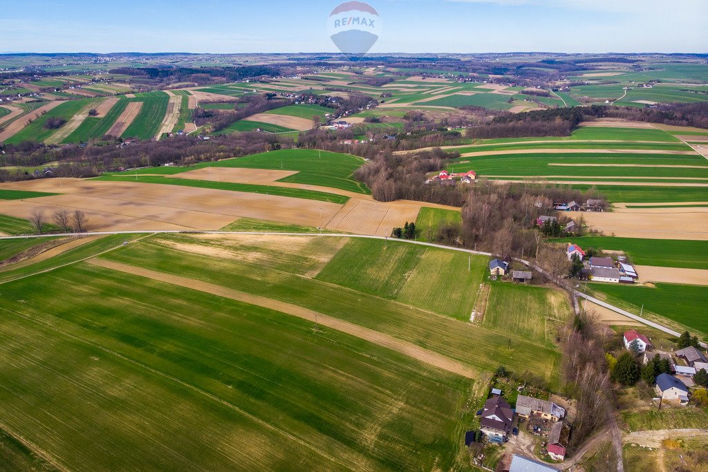 Działka budowlana na sprzedaż Grzegorzowice Wielkie  3 200m2 Foto 6