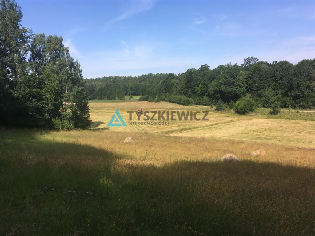 Działka budowlana na sprzedaż Trzepowo, Cystersów  2 995m2 Foto 3