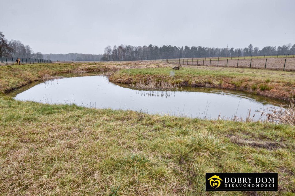 Działka siedliskowa na sprzedaż Brześcianka  10 000m2 Foto 8