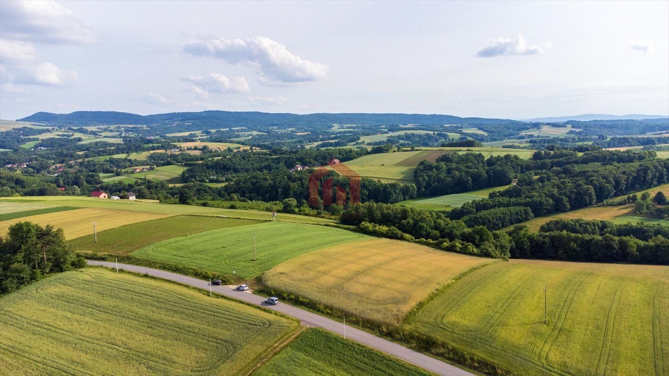 Działka budowlana na sprzedaż Wielopole Skrzyńskie  3 650m2 Foto 7