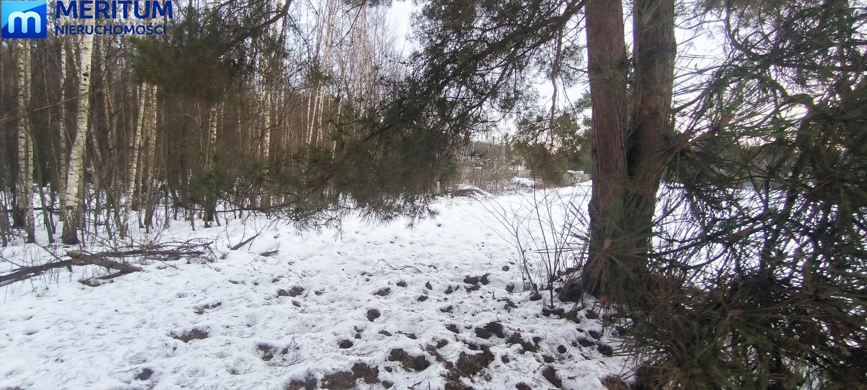 Działka 2000 m² pod dom w lesie, szybki dojazd do Warszawy Musuły  2 000m2 Foto 1