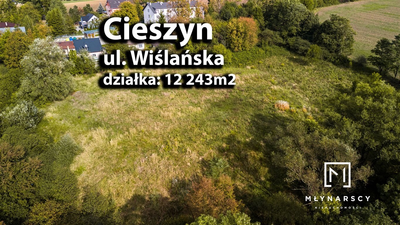 Działka rolna na sprzedaż CIESZYN, CIESZYN  12 243m2 Foto 4