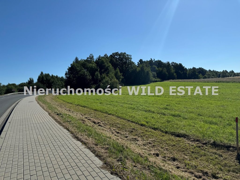Działka 8,2 ha z widokiem na góry (media, Lesko) LESKO, LESKO  8 206m2 Foto 1