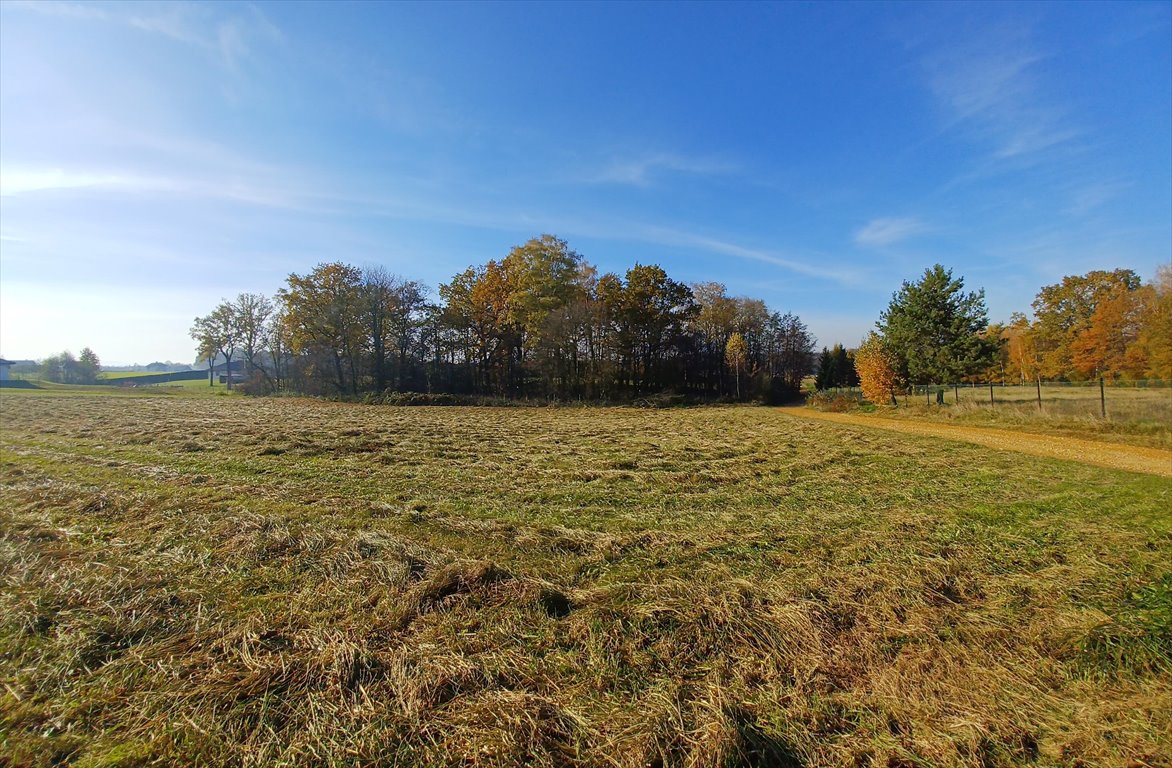 Działka budowlana na sprzedaż Pisarzowice  2 362m2 Foto 5