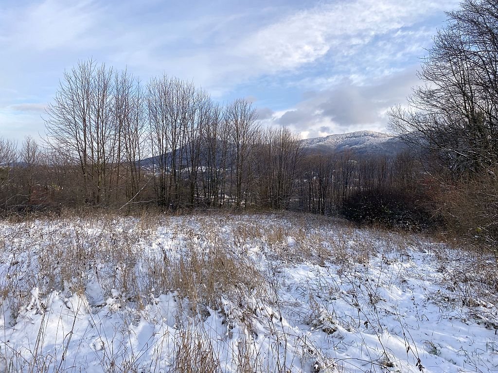 Działka budowlana na sprzedaż Ustroń, Jelenica  2 121m2 Foto 14