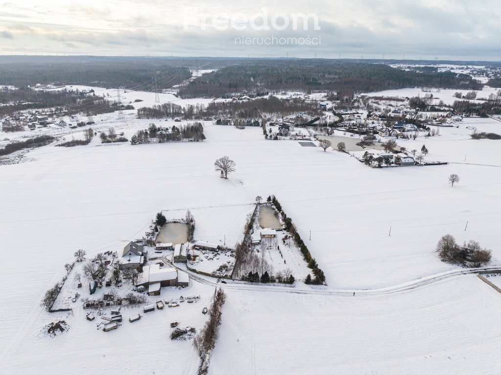 Działka budowlana na sprzedaż Przyjaźń, Nowowiejska  3 000m2 Foto 8