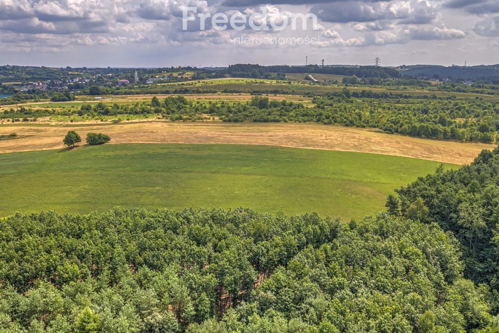 Działka rolna na sprzedaż Siemonia, Kościuszki  17 300m2 Foto 11