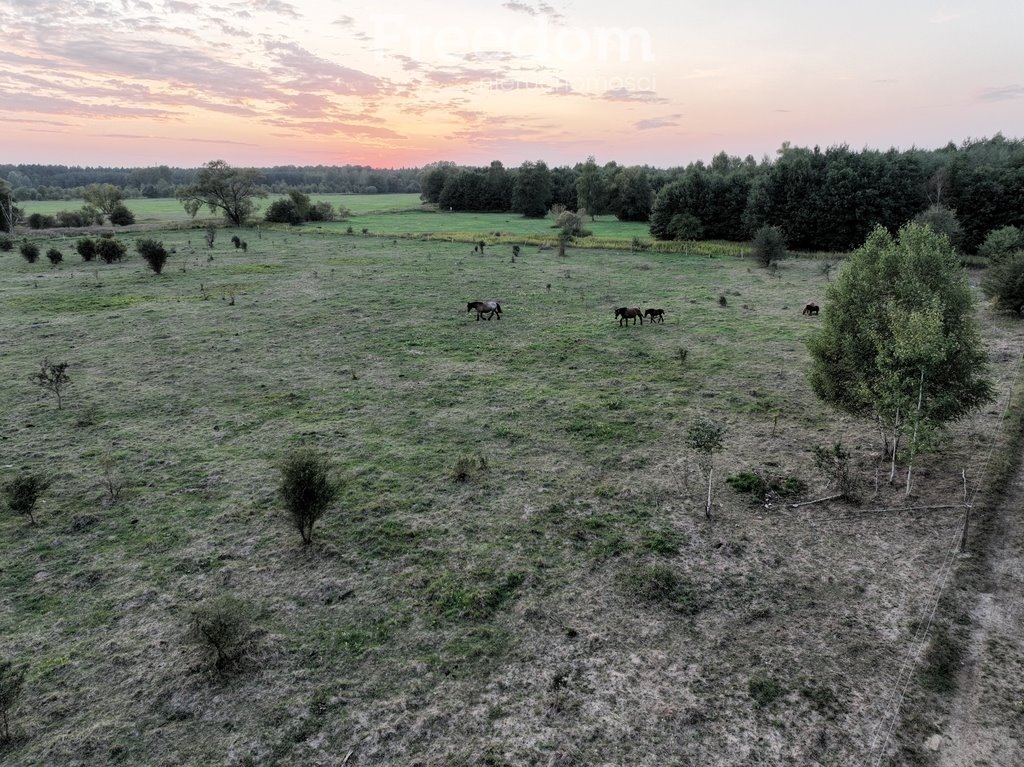 Działka rolna na sprzedaż Okuniew  800m2 Foto 7