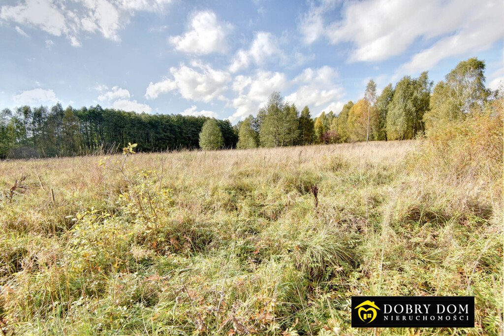 Działka budowlana na sprzedaż Hryniewicze  1 000m2 Foto 6