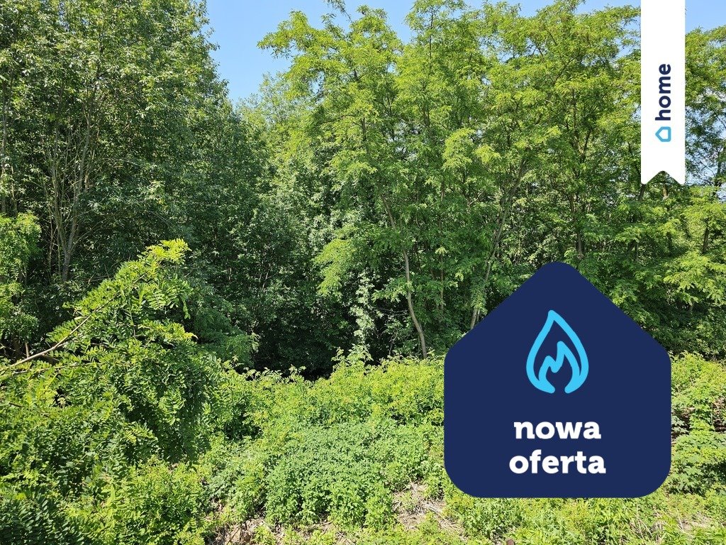 Działka z lasem i łąką nad Jeziorem Głuszyńskim Miałkie  18 400m2 Foto 1