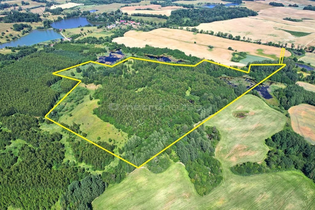 Działka rolna na sprzedaż Wilkasy  182 000m2 Foto 1