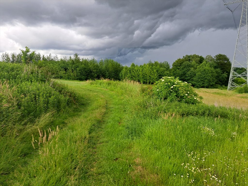 Działka rolna na sprzedaż Sieklówka  8 575m2 Foto 13