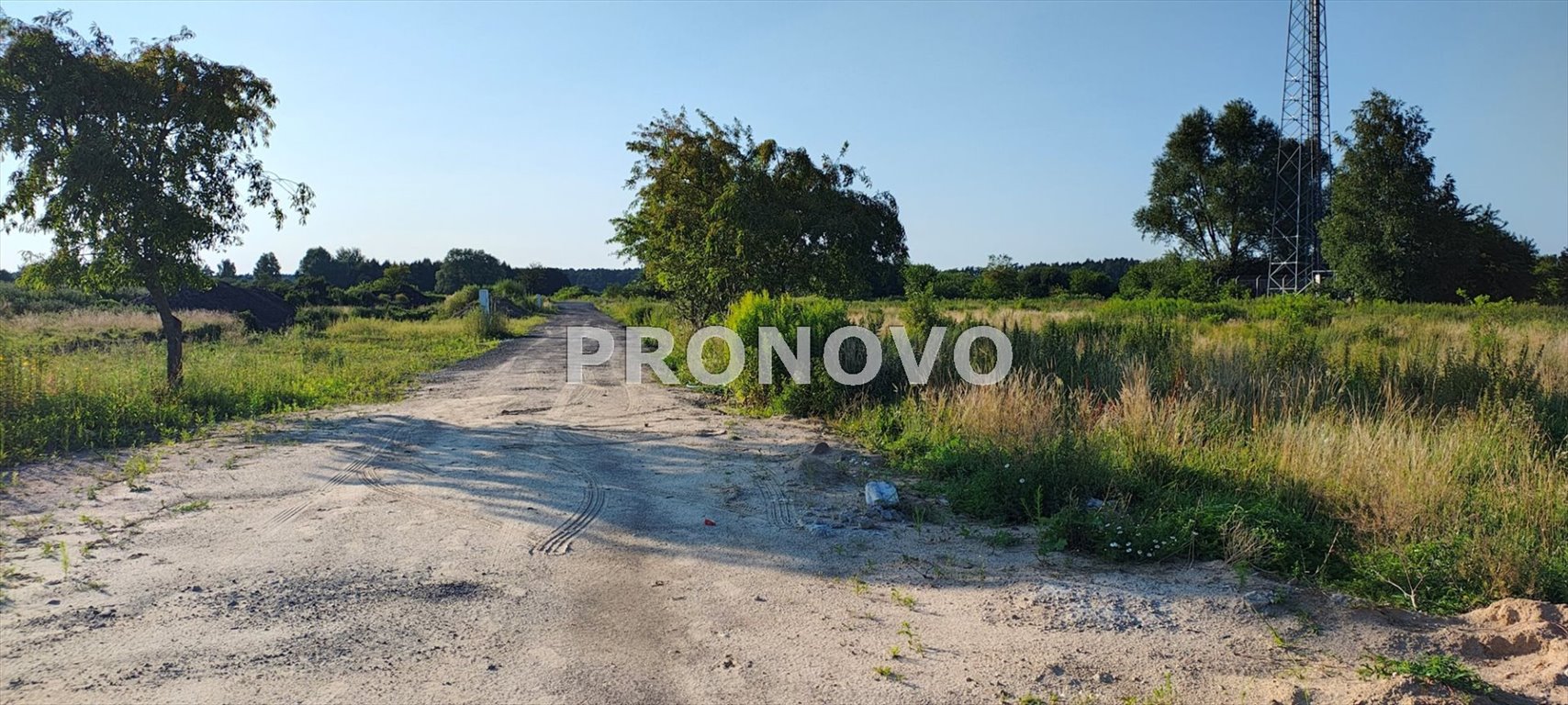 Działka budowlana na sprzedaż Szczecin, Wielgowo  5 891m2 Foto 3