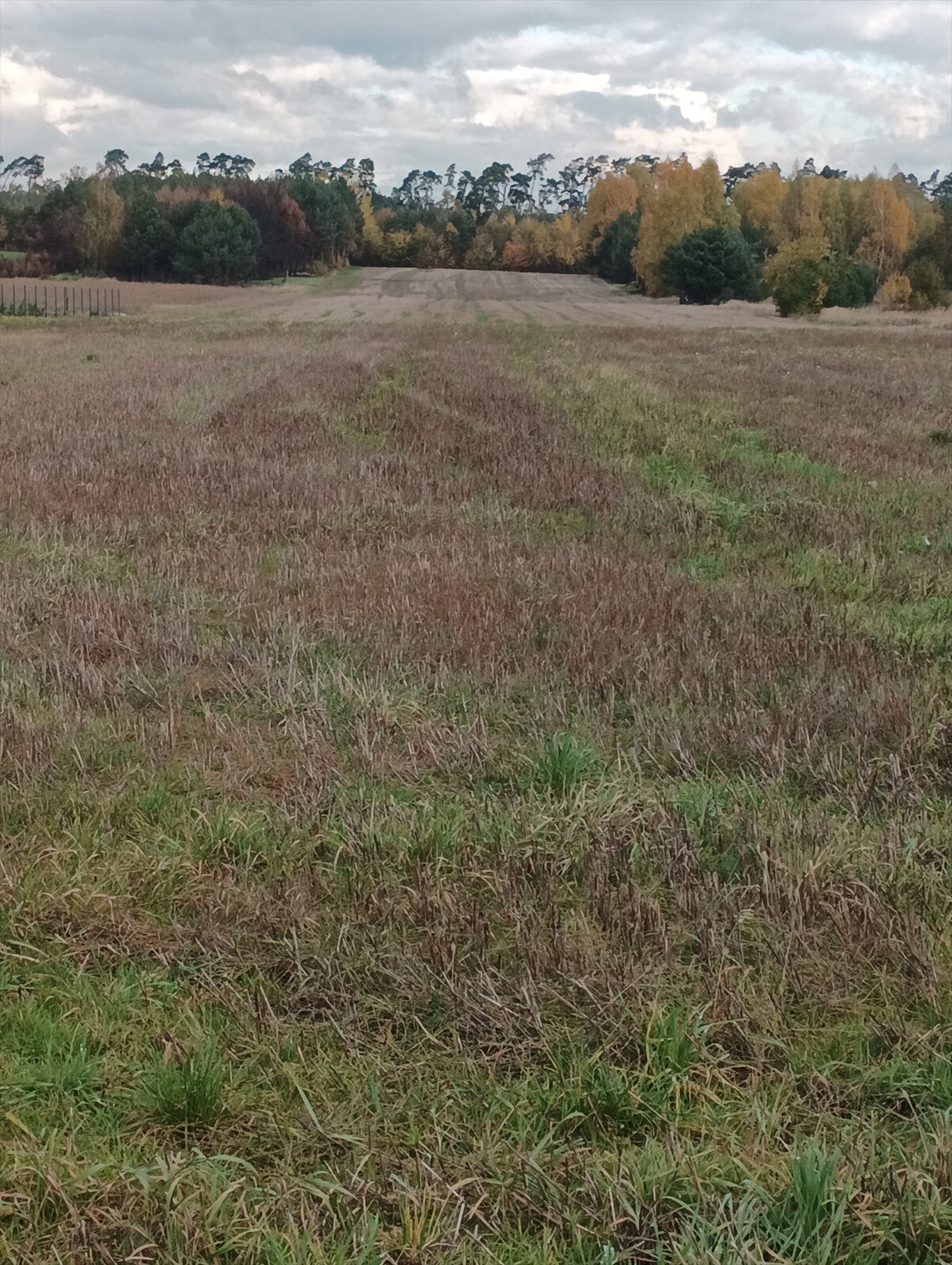 Działka 2,6 ha z zabudowaniami, media, inwestycja Opatówek  26 000m2 Foto 1