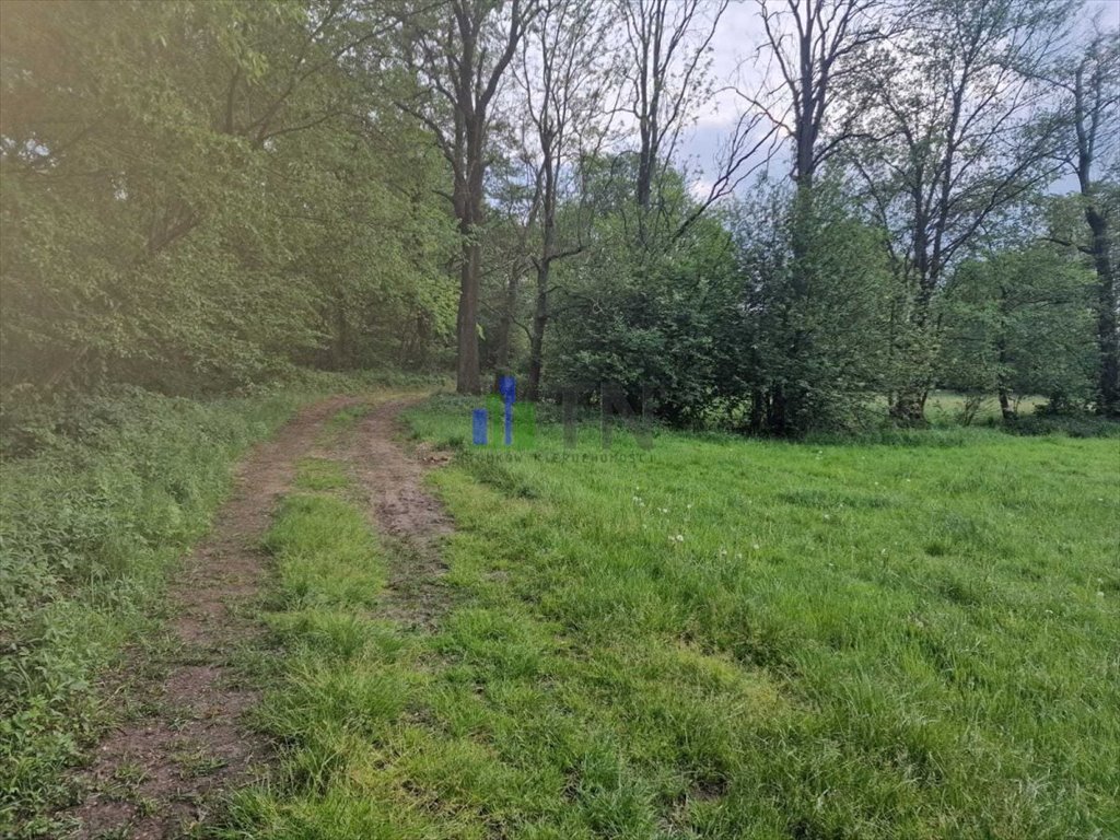 Działka rolna na sprzedaż Chrząstawa Wielka  13 058m2 Foto 7