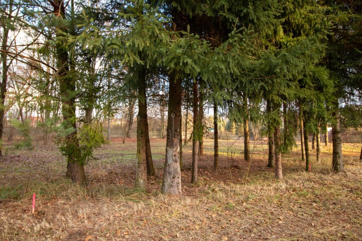 Działka budowlana na sprzedaż Koszęcin, Słowików  1 024m2 Foto 8