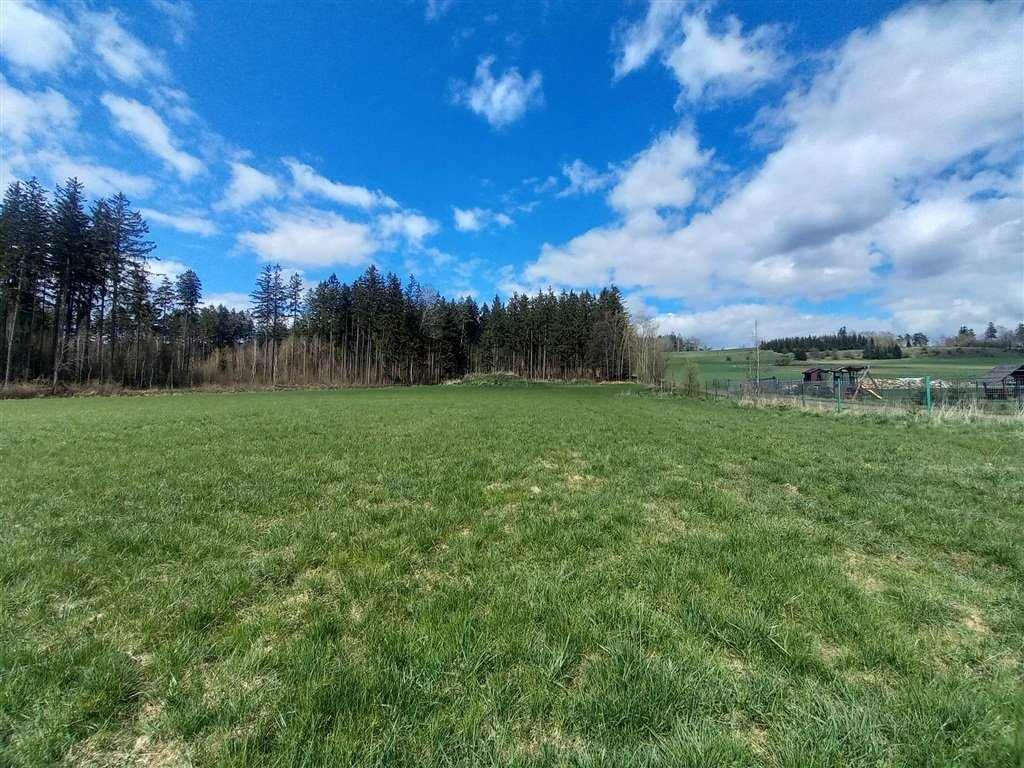 Działka inna na sprzedaż Borówno  9 400m2 Foto 3