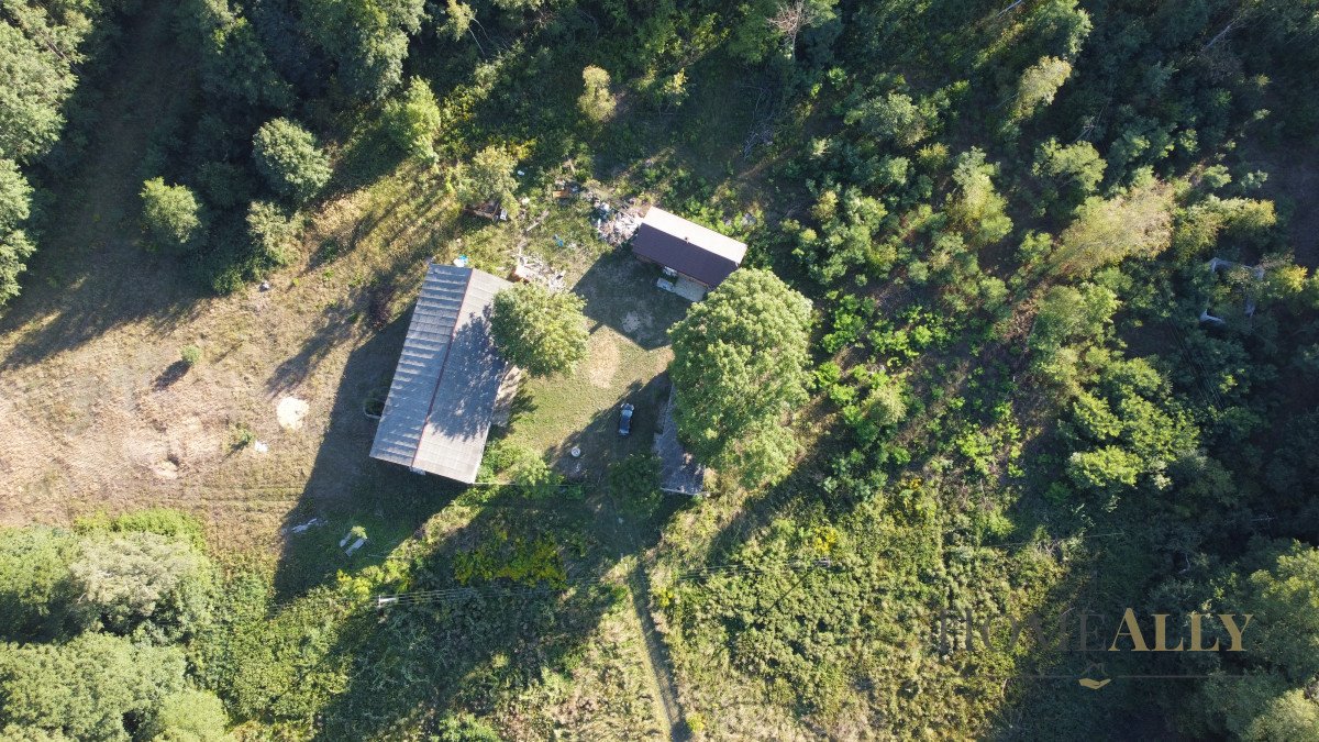 Polecam działkę siedliskową 18 150 m² z budynkami i dobrym dojazdem Zazdrość  18 150m2 Foto 1
