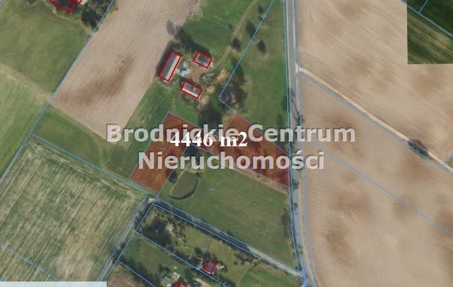 Działka budowlana na sprzedaż Ciche  4 446m2 Foto 1