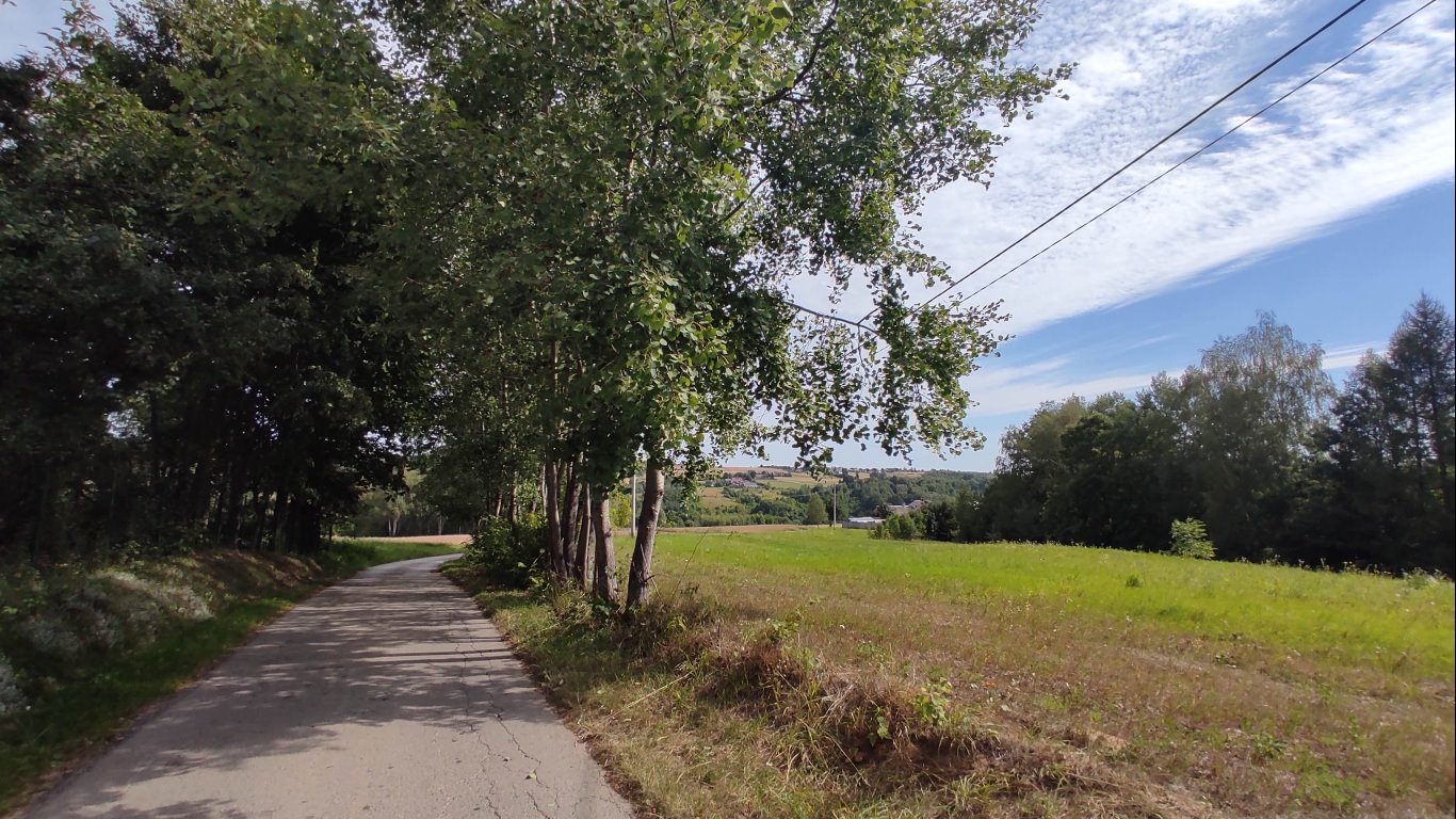 Działka budowlana na sprzedaż Radkowice-Kolonia  10 921m2 Foto 11