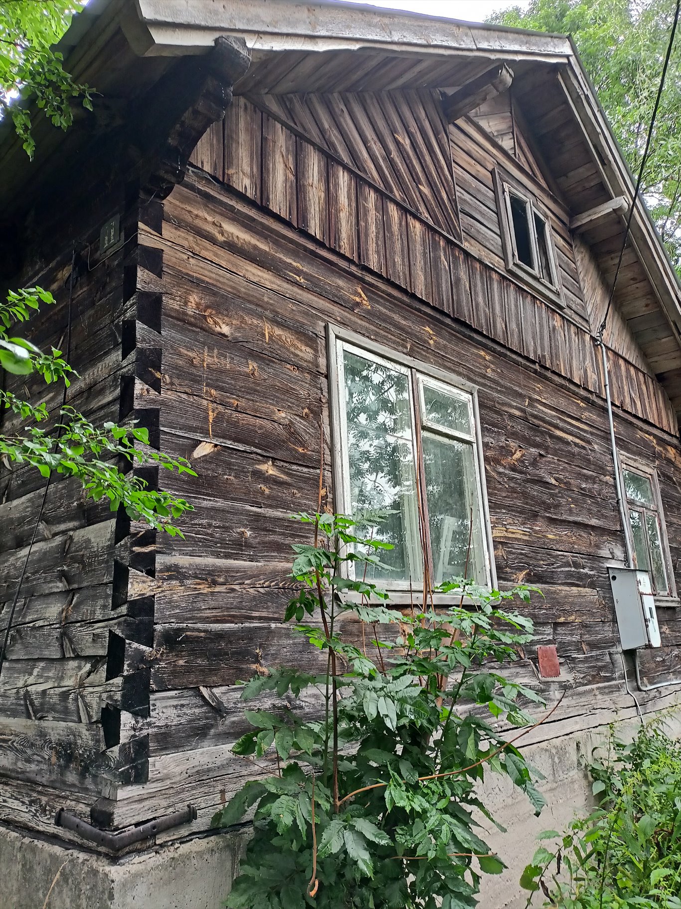 Siedlisko z potencjałem, 5600 m², dom i budynki do remontu Olszewo gm.Bocki  70m2 Foto 1