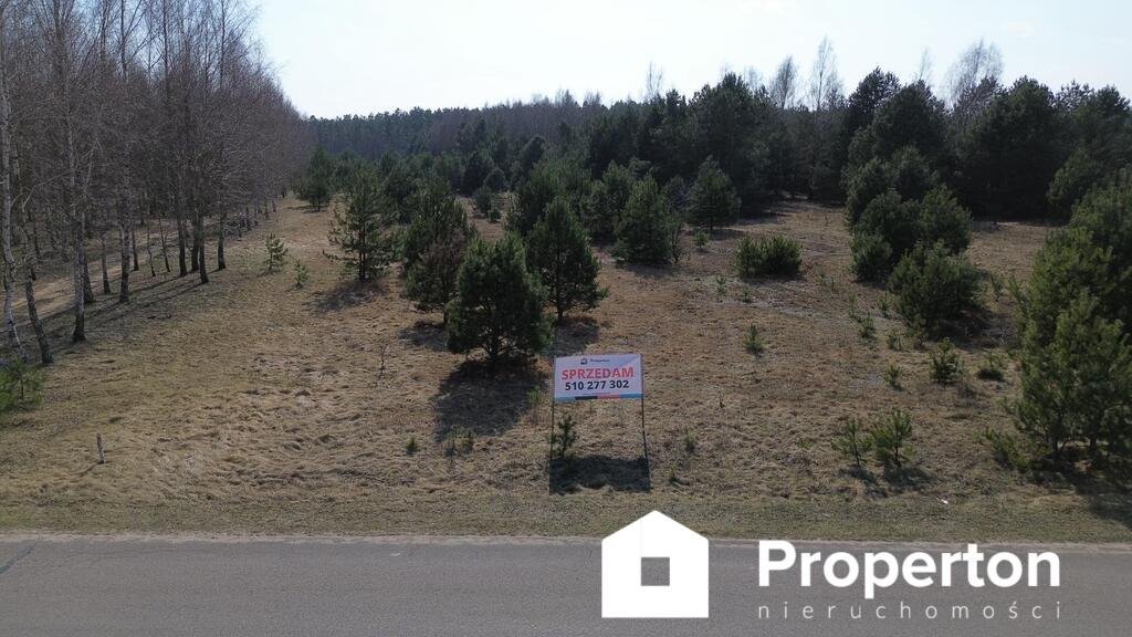 Działka 1,1 ha z warunkami zabudowy i dużym potencjałem Dębienica  11 088m2 Foto 1