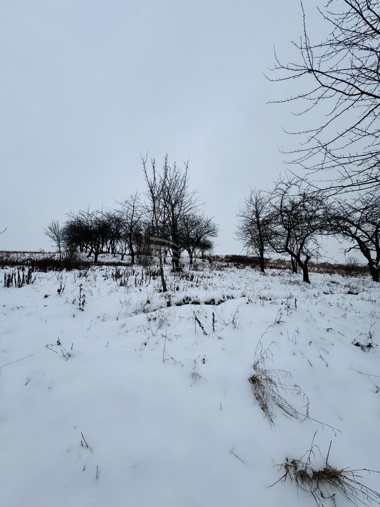 Działka budowlana na sprzedaż Michałowice  3 100m2 Foto 2